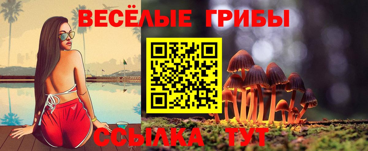 Галлюциногенные грибы GOLDEN TEACHER  наркота  Железногорск  Вход с VPN 
