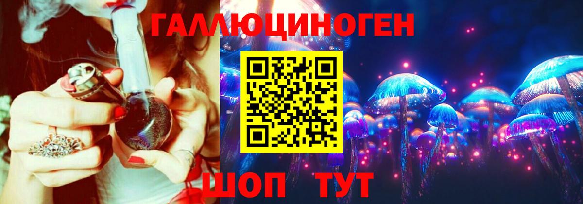 Псилоцибиновые грибы Psilocybe Железногорск
